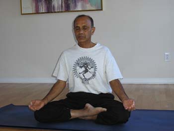 siddhasana