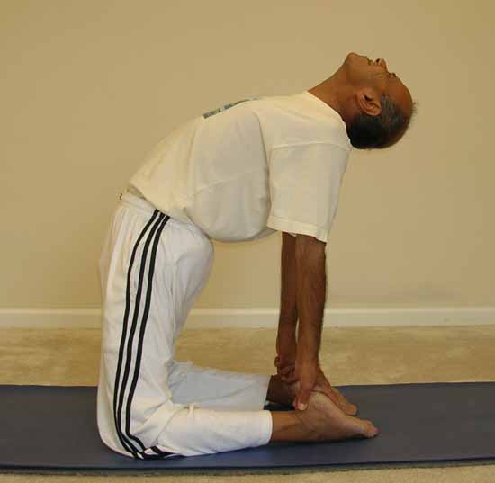 ushtrasana